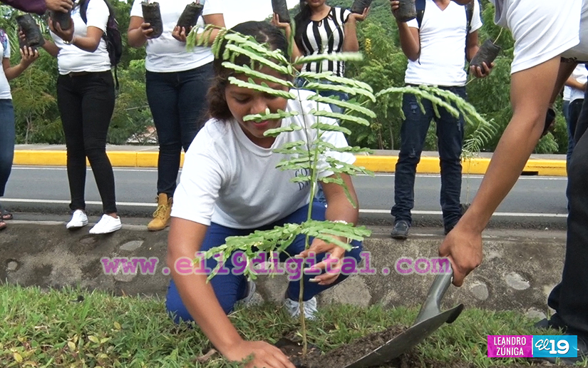 vivero